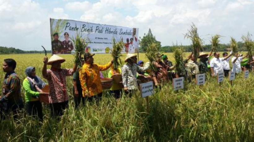 印尼总统访问押球官网平台印尼合资公司展位