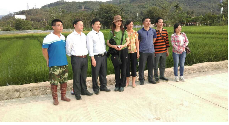 云南农大、浙江农科院专家访问国家粳稻中心南繁基地