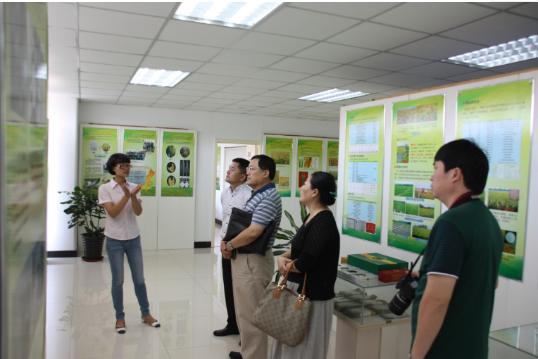 天津市开发区人大领导莅临公司参观、指导工作