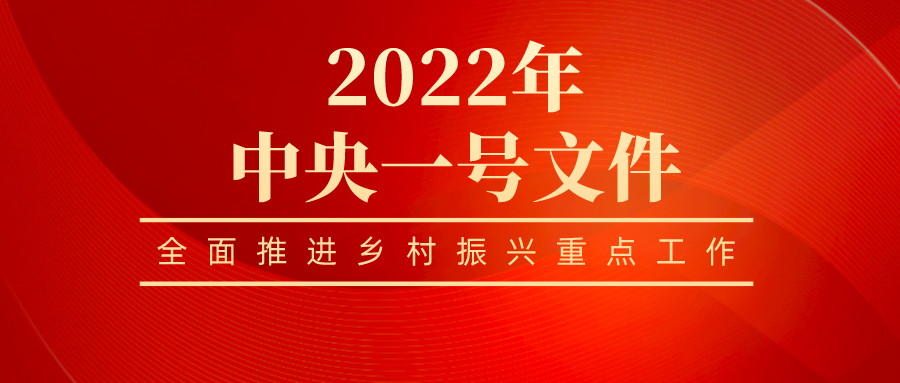 押球官网平台全员学习贯彻 2022年中央一号文件精神